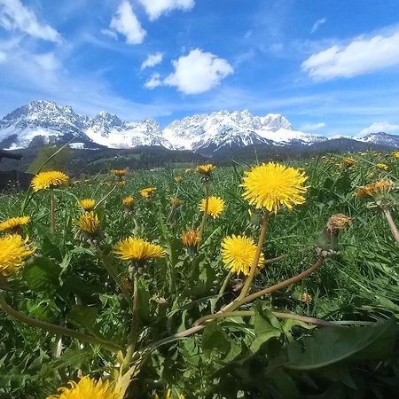 Ferienwohnung Lara Шеффау-ам-Вільден-Кайзер Екстер'єр фото